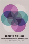 Domestic Violence cover