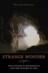 Strange Wonder cover