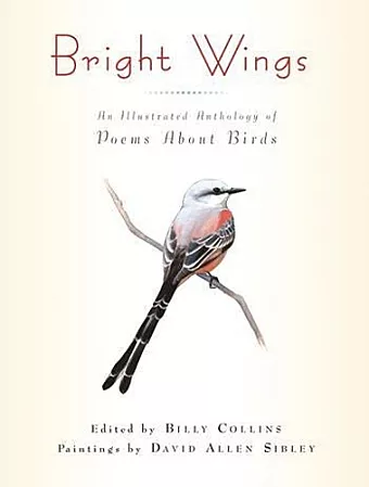 Bright Wings cover