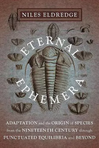 Eternal Ephemera cover