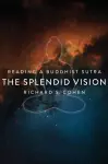 The Splendid Vision cover