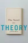 The Novel After Theory cover