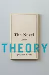 The Novel After Theory cover