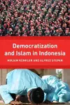 Democracy and Islam in Indonesia cover