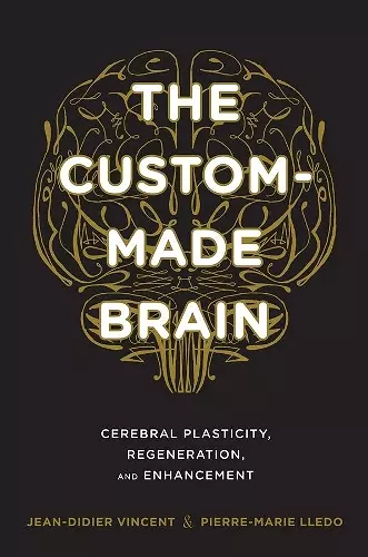 The Custom-Made Brain cover