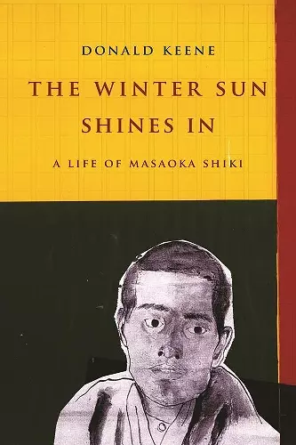 The Winter Sun Shines In cover