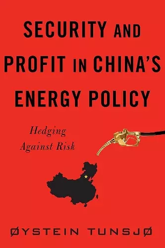 Security and Profit in China’s Energy Policy cover