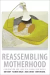 Reassembling Motherhood cover