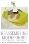 Reassembling Motherhood cover