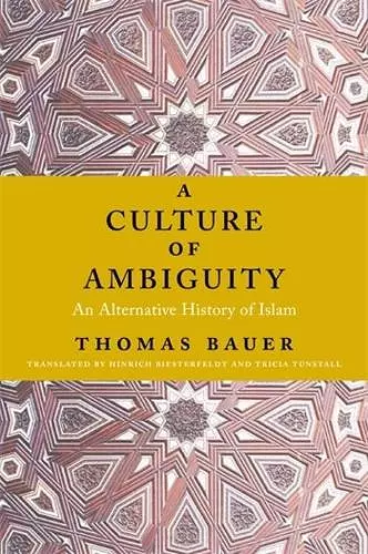 A Culture of Ambiguity cover