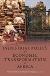 Industrial Policy and Economic Transformation in Africa cover
