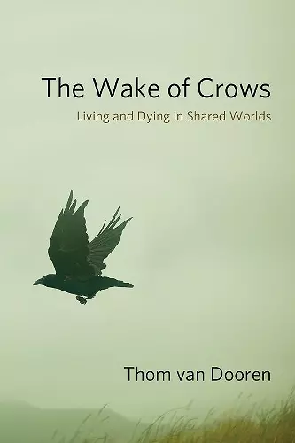 The Wake of Crows cover