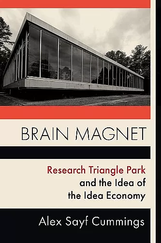 Brain Magnet cover