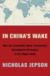 In China's Wake cover