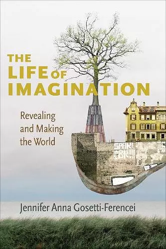 The Life of Imagination cover