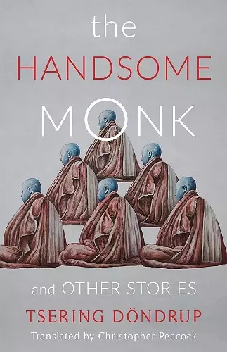 The Handsome Monk and Other Stories cover