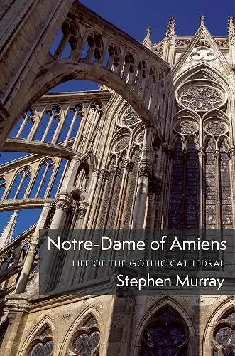 Notre-Dame of Amiens cover