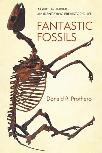 Fantastic Fossils cover