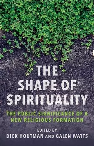 The Shape of Spirituality cover