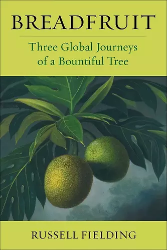 Breadfruit cover