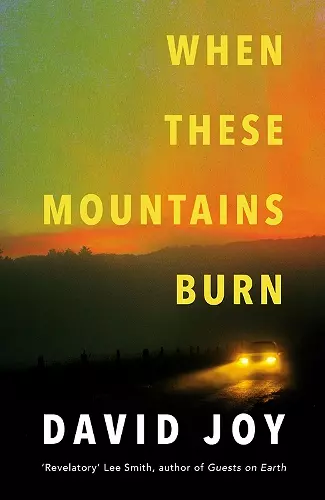 When These Mountains Burn cover