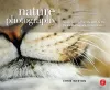 Nature Photography: Insider Secrets from the World's Top Digital Photography Professionals cover