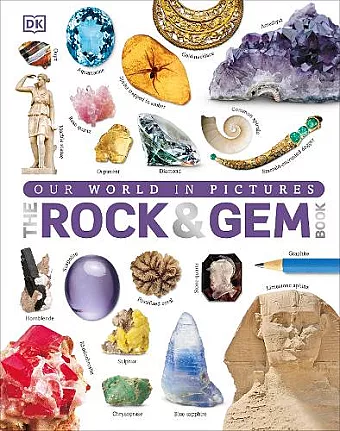 Our World in Pictures: The Rock and Gem Book cover