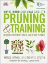 RHS Pruning and Training cover
