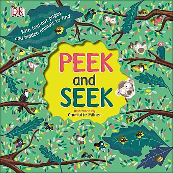Peek and Seek cover