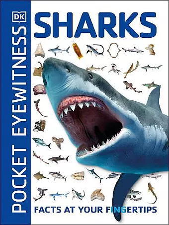 Pocket Eyewitness Sharks cover
