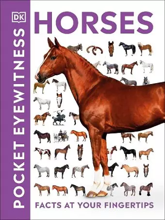 Pocket Eyewitness Horses cover