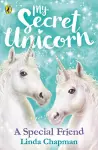 My Secret Unicorn: A Special Friend cover
