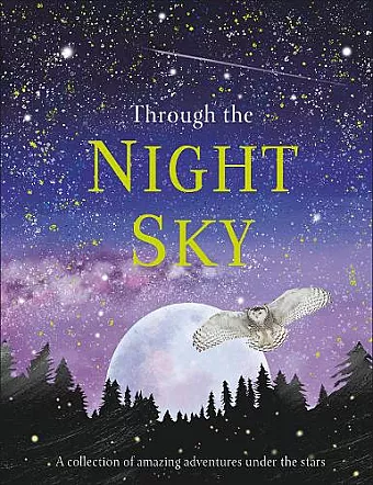 Through the Night Sky cover