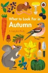 What to Look For in Autumn cover