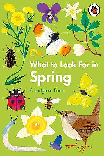 What to Look For in Spring cover