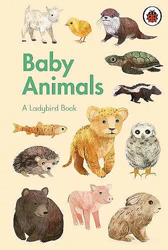 A Ladybird Book: Baby Animals cover