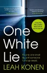 One White Lie cover
