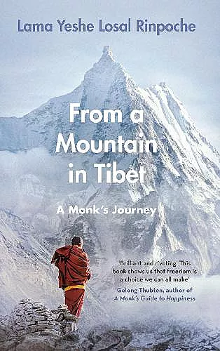 From a Mountain In Tibet cover