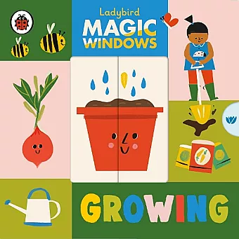 Magic Windows: Growing cover