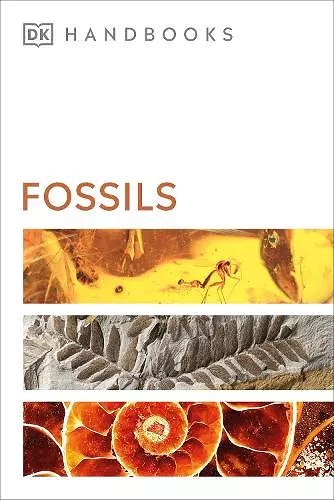 Fossils cover