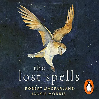The Lost Spells cover