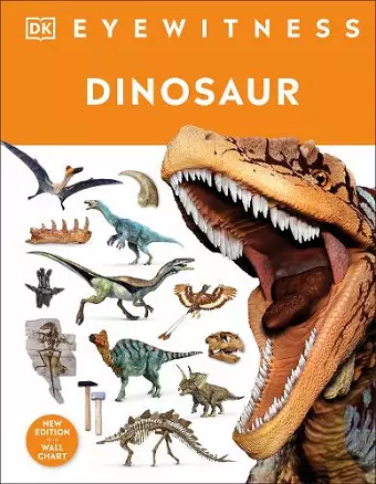 Dinosaur cover