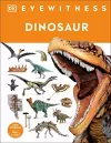 Dinosaur cover