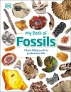 My Book of Fossils cover
