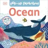 Pop-Up Peekaboo! Ocean cover
