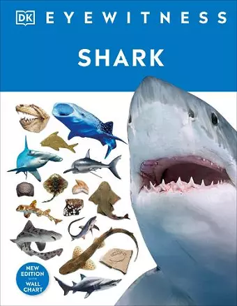 Shark cover