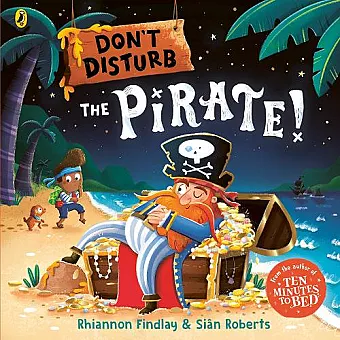Don’t Disturb The Pirate cover