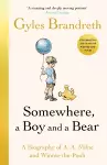 Somewhere, a Boy and a Bear cover