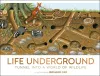 Life Underground cover