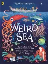 Weird Sea cover